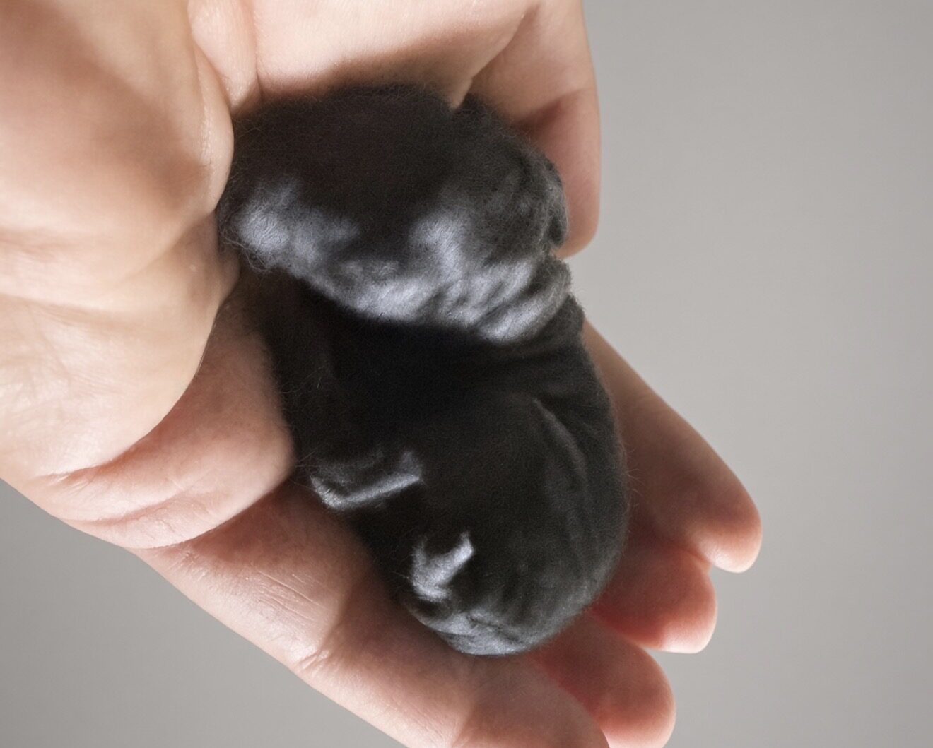 Coal
