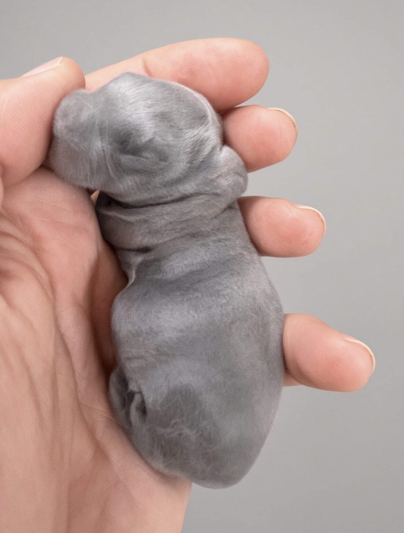 Pepper