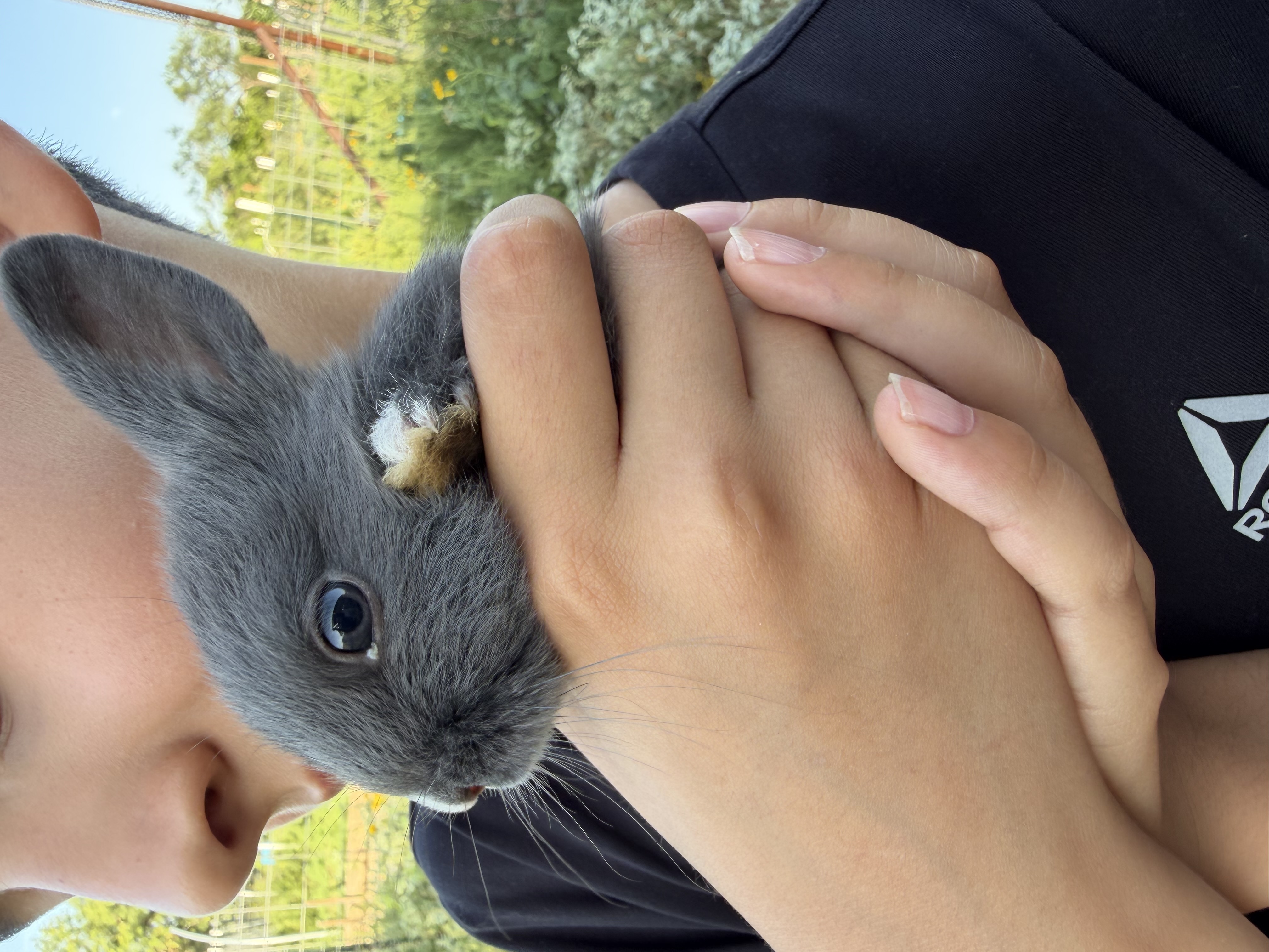 Blueberry
