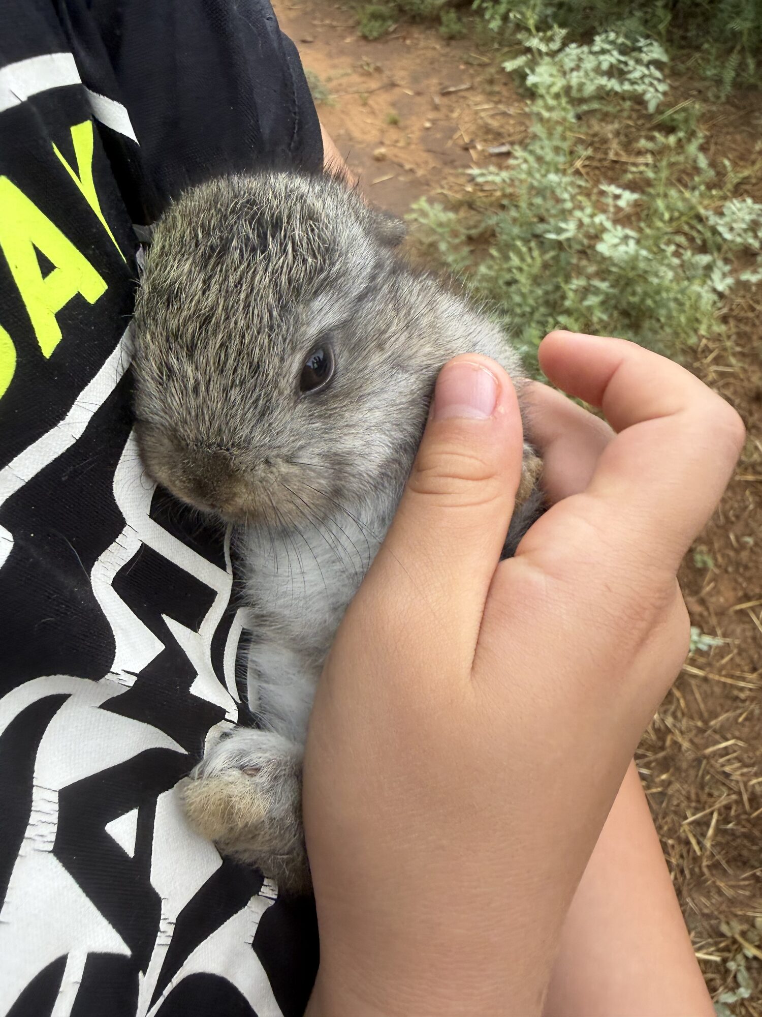 Snuggle time!