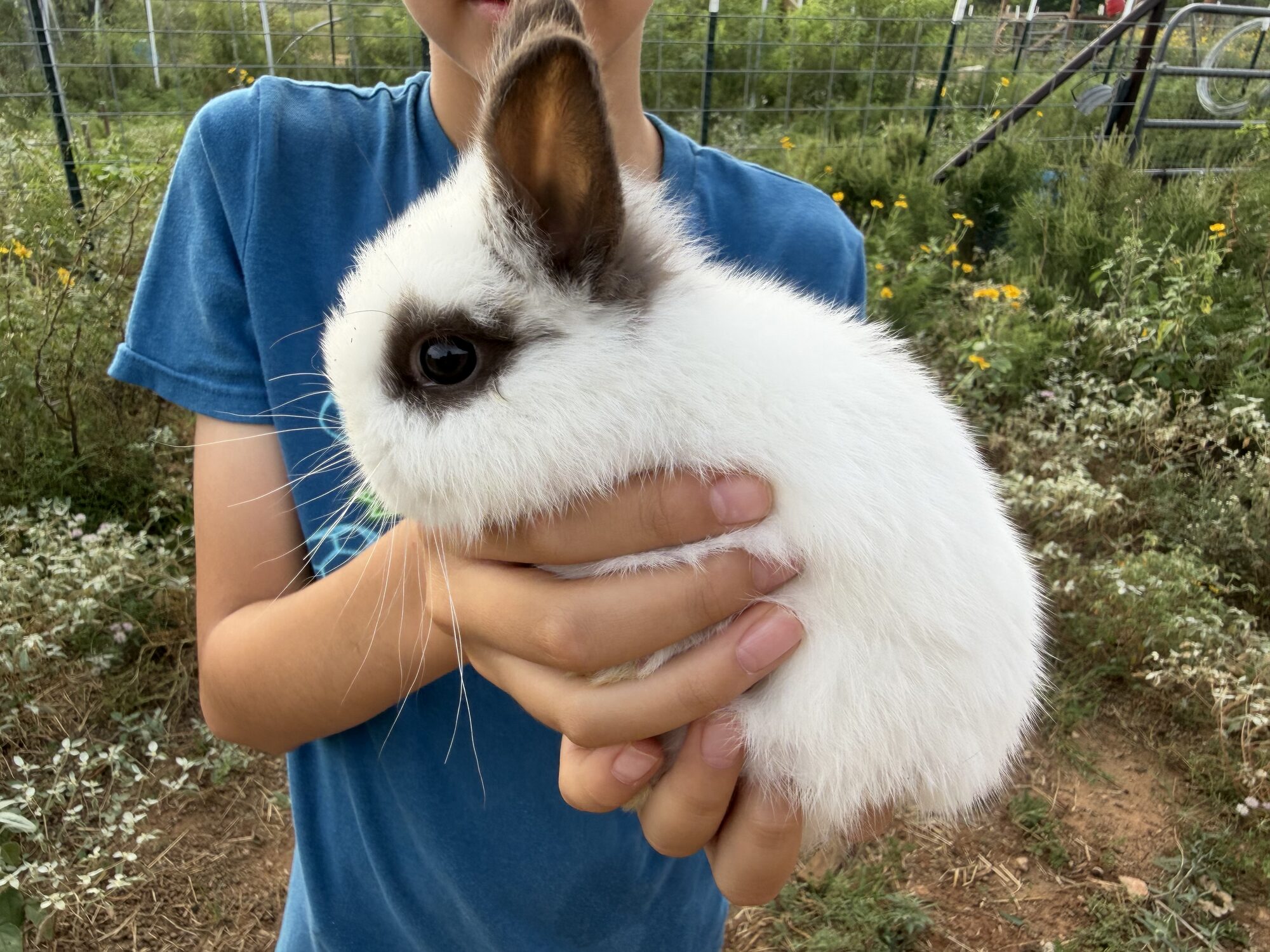 Theodore